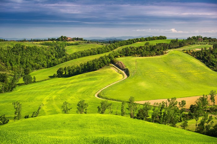 Toscana, Italy Fields Scenery with Trees