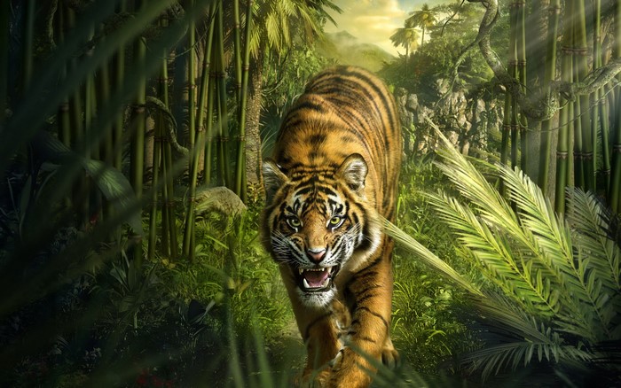 Tiger walking through a dense jungle with bamboo