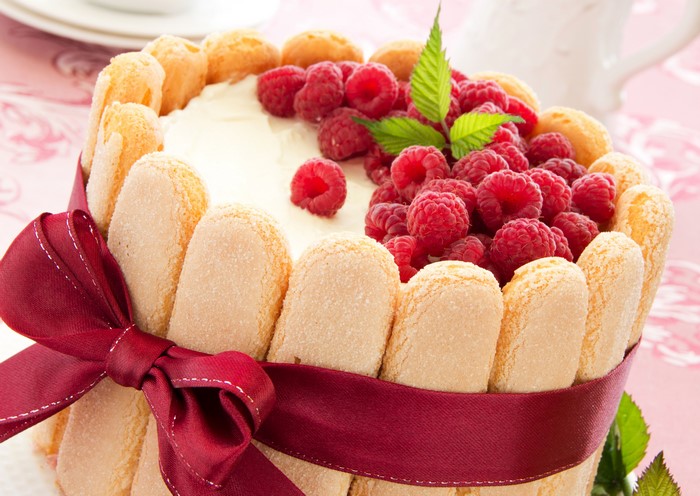 Raspberry Charlotte Cake with Ladyfingers and Red Ribbon