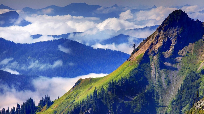 Mountain range with clouds and trees