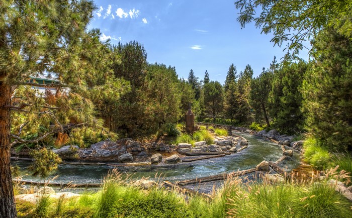 Stream in a forest at Disneyland, California