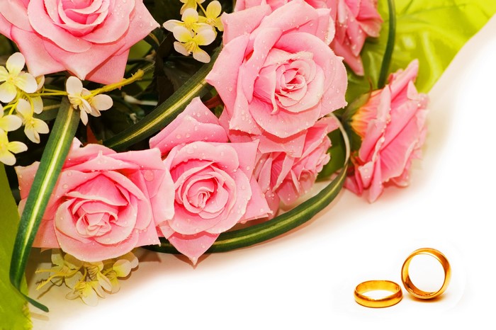 Pink Roses and Wedding Rings
