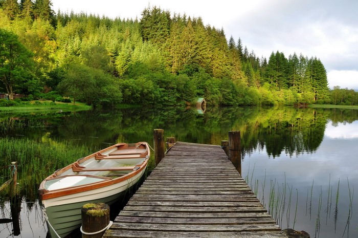 Wooden dock and rowboat on a calm lake with a forest background