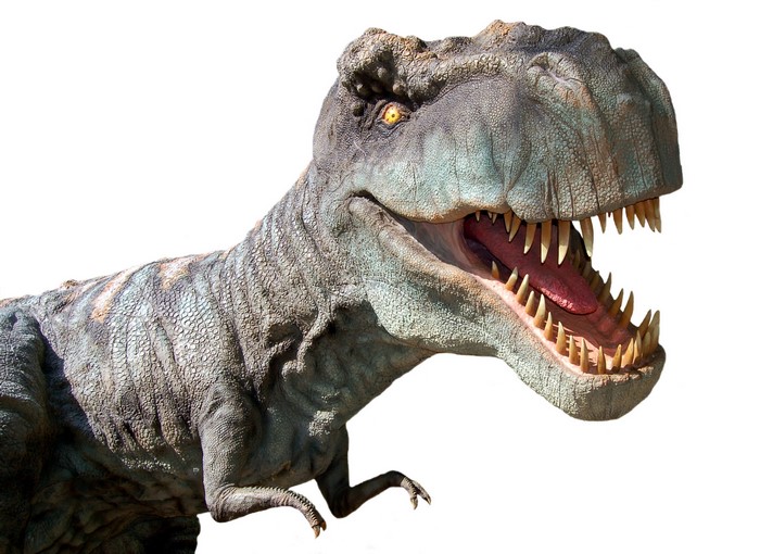 Tyrannosaurus Rex Dinosaur