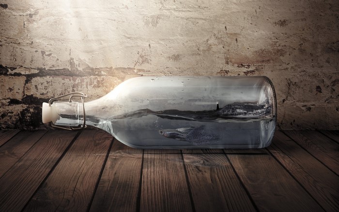 Fish and island in a bottle