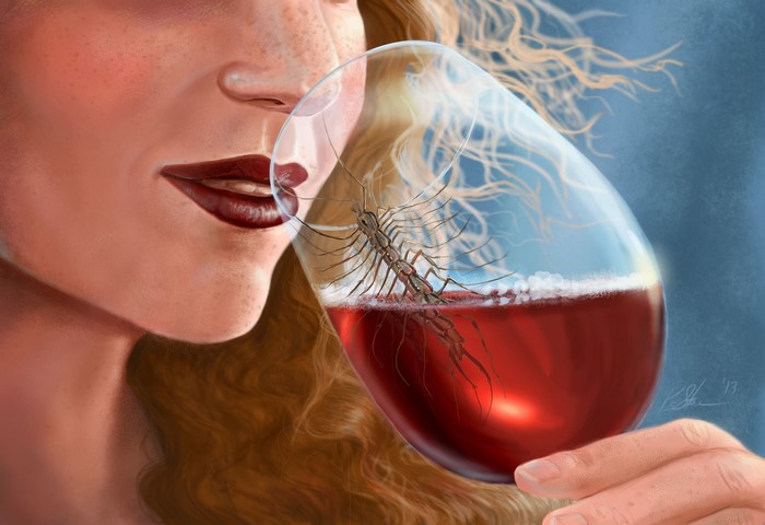 Painting of a woman drinking wine with a centipede
