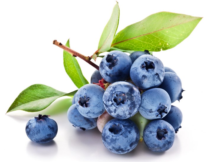Blueberries on a branch with leaves