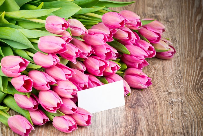 Pink Tulips with a Blank Card