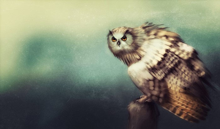 Painting of a Brown Hawk-Owl