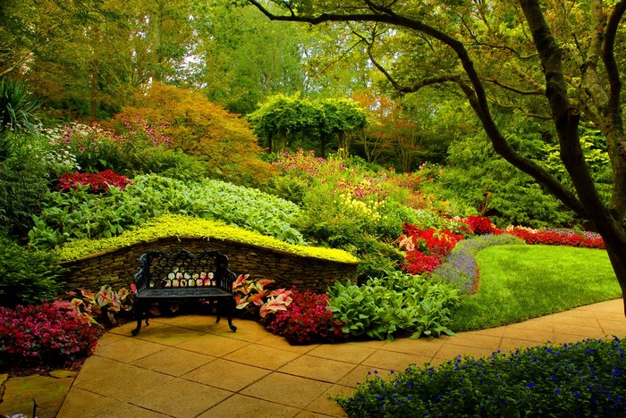 Beautiful garden with a bench and colorful flowers