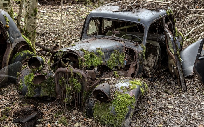 Moss-covered abandoned vintage car in a forest