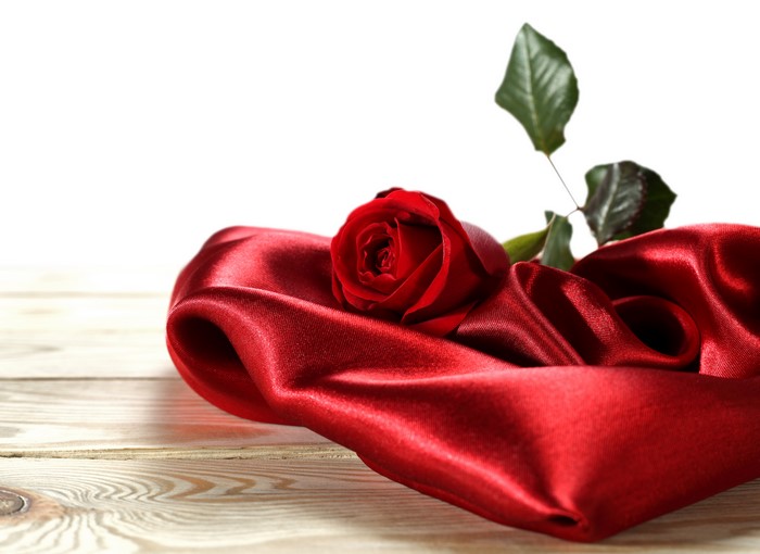Red Rose on Red Silk Fabric