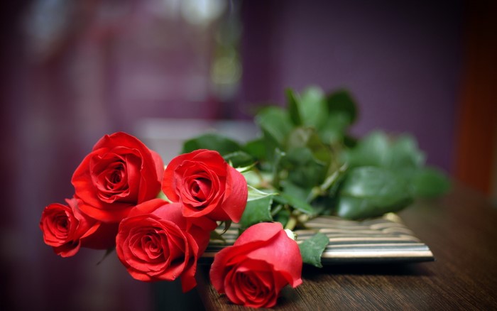Red Roses on a Wooden Surface