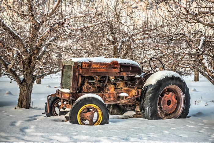 Rusty tractor in a snowy orchard