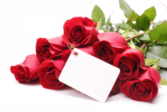 Red Roses with a Blank Card