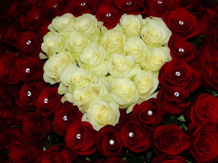 Heart shape of red and white roses with diamonds