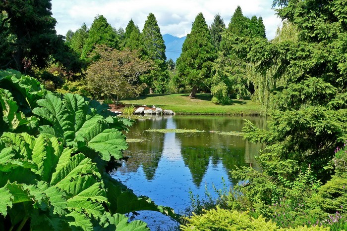 Pond and trees in VanDusen Botanical Garden, Vancouver