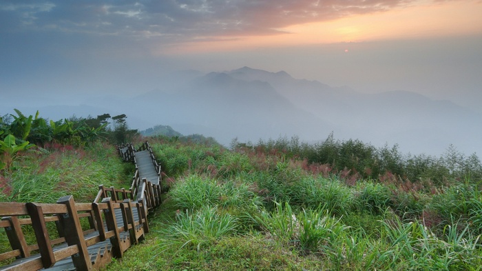 Wooden stairs leading through grassy mountains at sunrise