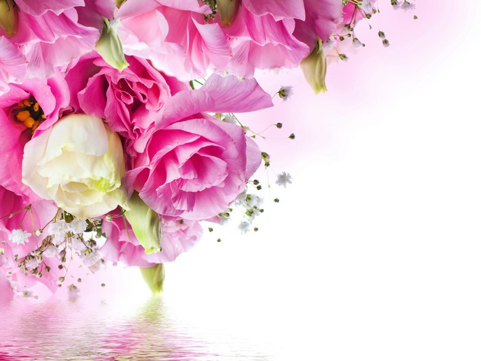 Pink and White Eustoma Flowers with Water Reflection