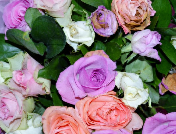 A bouquet of roses in various colors