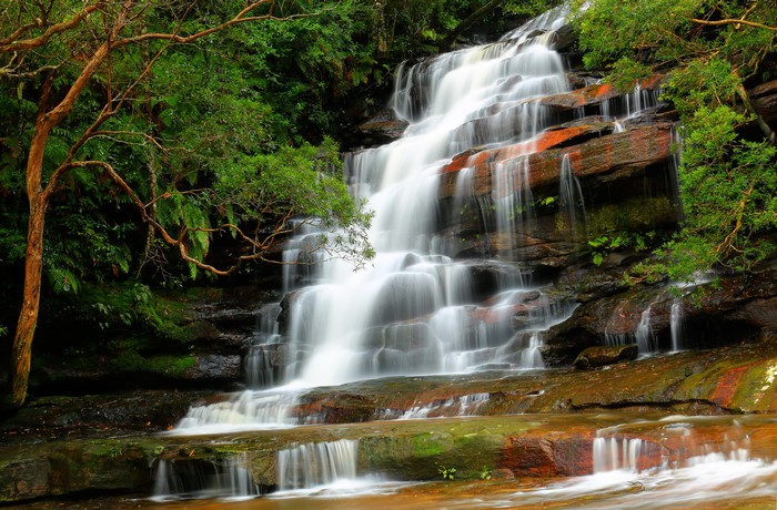 Waterfall in a forest in Australia