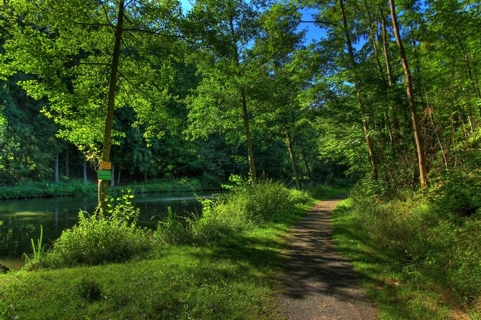 Forest path next to a river in Lich, Germany