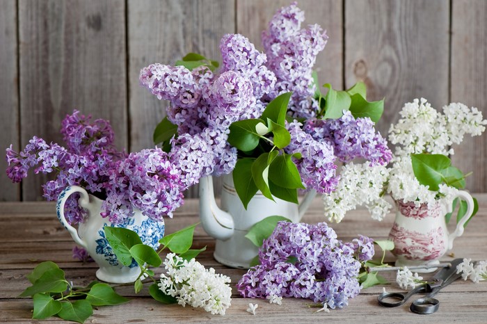 Lilac flowers in vases on a wooden table