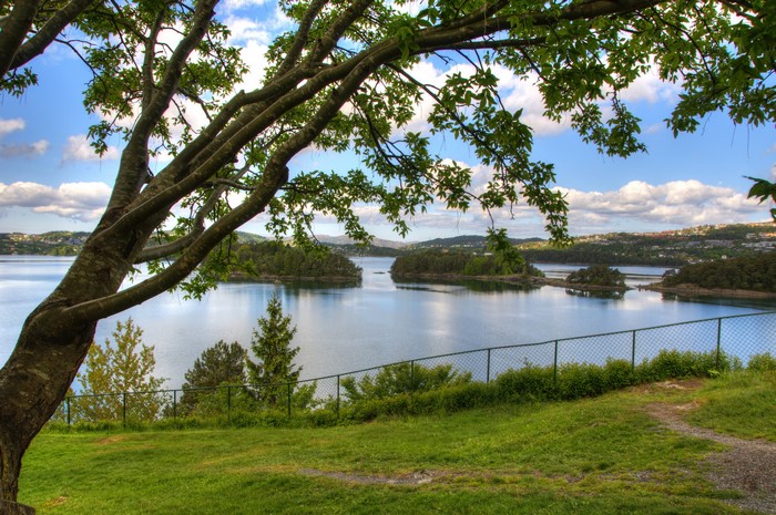 Lake with Islands and Trees in Bergen, Norway