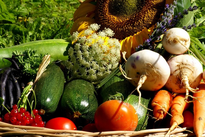 Basket of fresh vegetables and sunflower