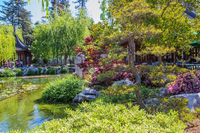 Chinese Garden with Pond and Pagoda