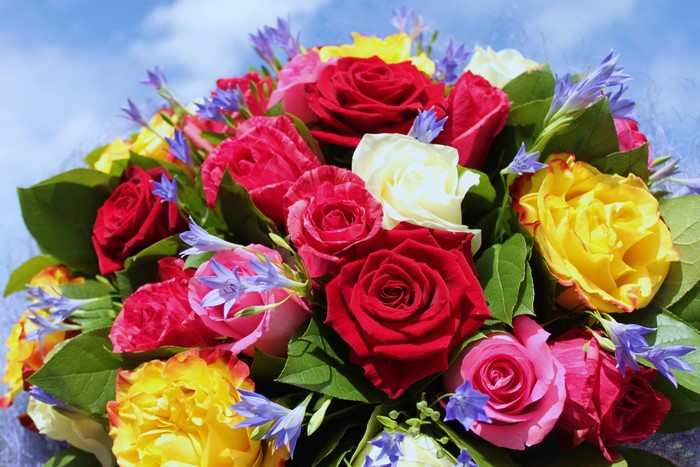 Bouquet of Roses