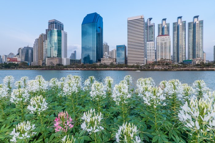 Bangkok skyscrapers and lake with flowers