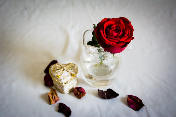 Red Rose in a Glass Pitcher with Heart-Shaped Box