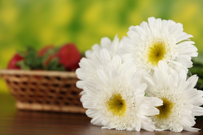 White daisies and strawberries in a basket