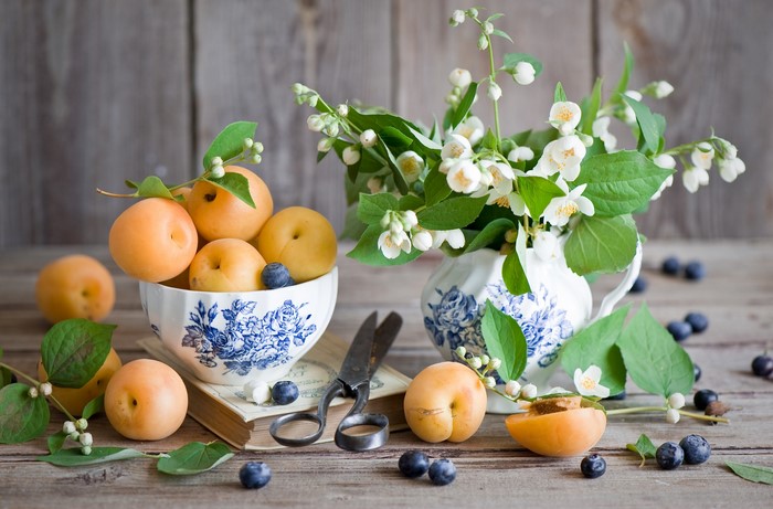Still life with apricots, blueberries, jasmine, and scissors