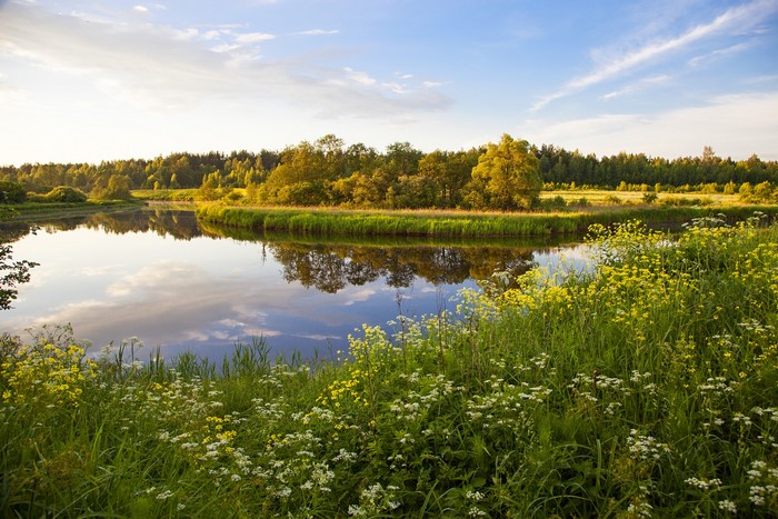 River landscape with trees and flowers in Russia