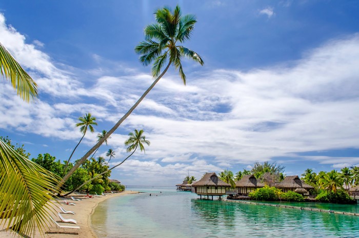Overwater bungalows and palm trees in French Polynesia