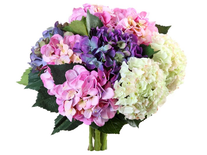 4K Hydrangea Bouquets