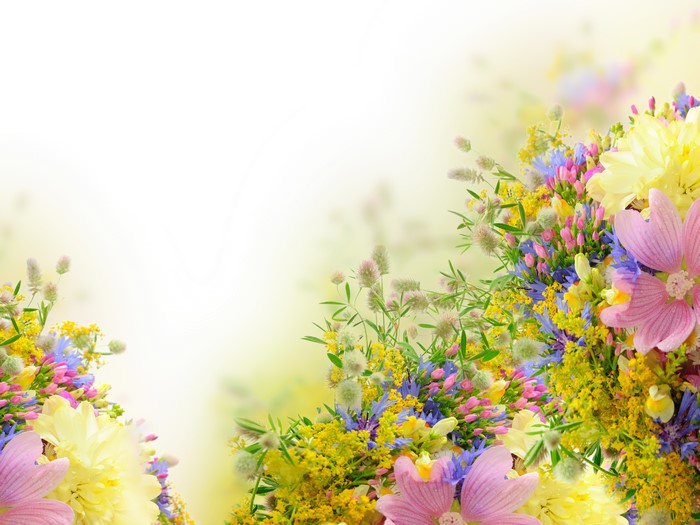 Bouquet of wildflowers with pink, yellow, and blue flowers