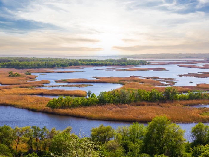 River delta with reeds and trees under a cloudy sky
