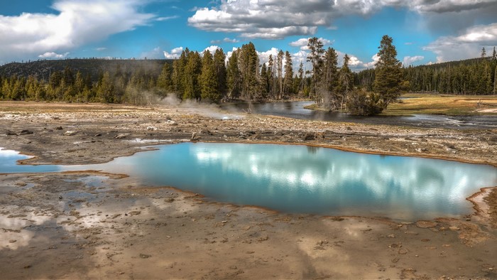 Geothermal Pool and Forest in Yellowstone National Park