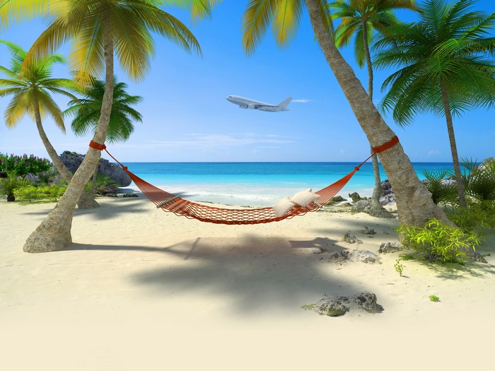 Hammock between palm trees on a tropical beach with airplane
