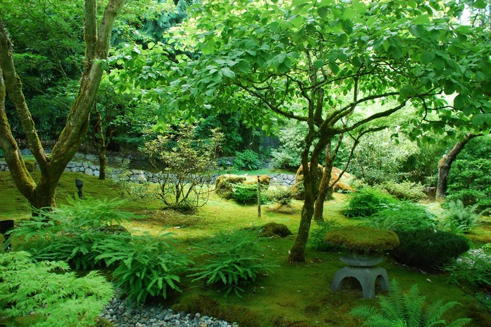 Japanese Garden with Moss and Stone Lantern