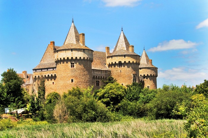 Chateau de Suscinio castle with conical towers and trees