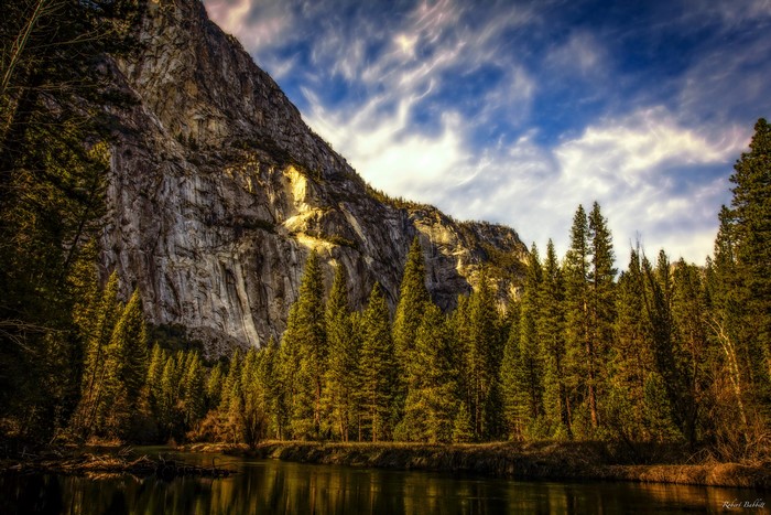 Yosemite National Park Mountain and Forest Landscape