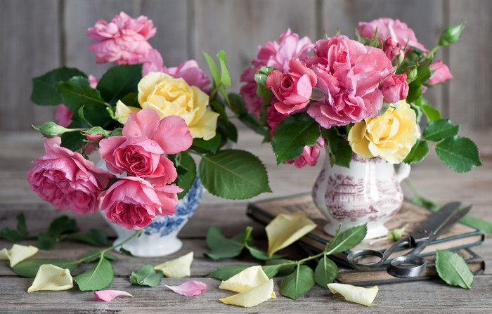 Roses in vases with petals and scissors