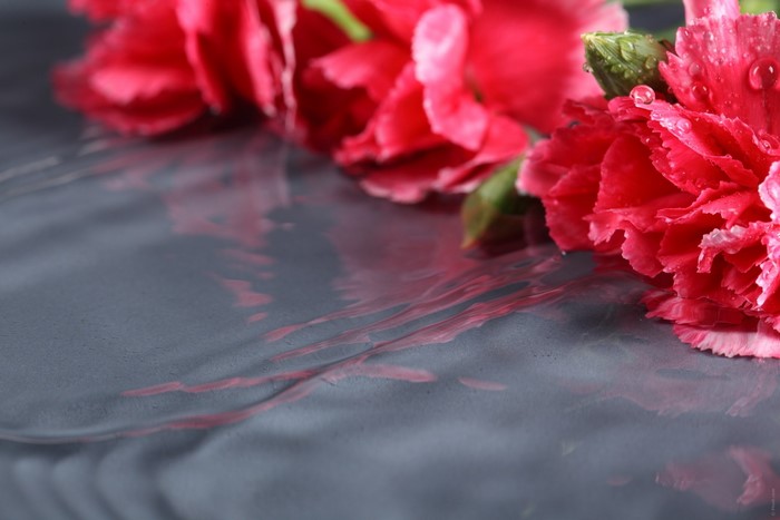 Red carnations with water drops on a reflective surface