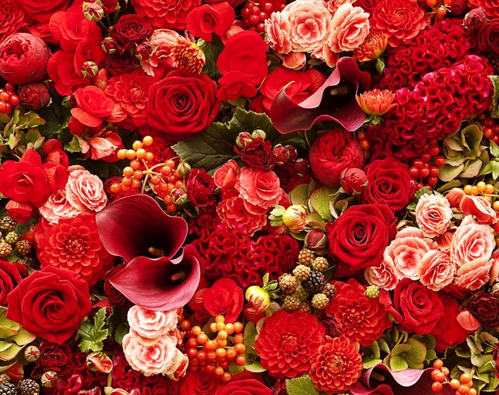 Vibrant Red Floral Mix of Roses, Callas, Ranunculus, Dahlias