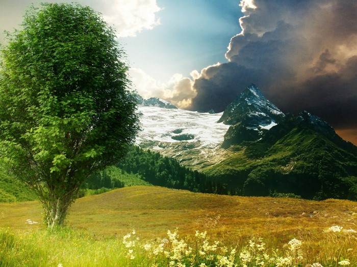 Green tree in a field with mountains and stormy sky