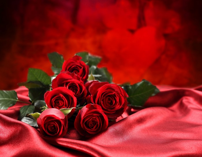 Red Roses on Red Silk